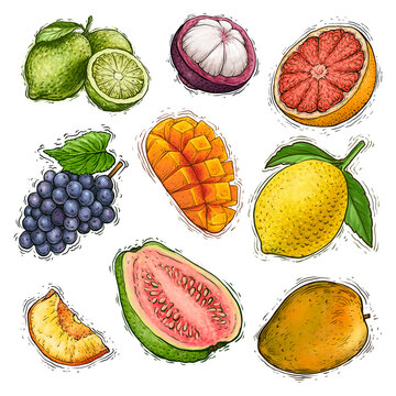 Set of fruits collection watercolor illustration