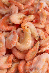 Fresh shrimps in ice. Top view.