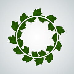 Vector round frame leaf on the wall