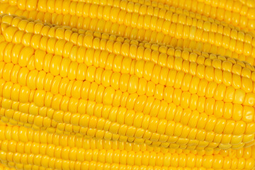 Three corns stacked on top of each other,food background concept