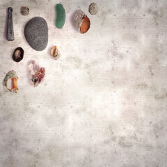 stylish textured old paper background with various objects found on beaches 
