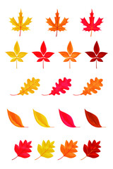 Fototapeta na wymiar Autumn leaves or fall foliage icons isolated on white background. Simple cartoon flat style. Isolated vector illustration. Design for seasonal holiday greeting card, stickers, logo, web and mobile app