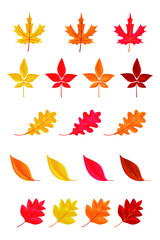 Autumn leaves or fall foliage icons isolated on white background. Simple cartoon flat style. Isolated vector illustration. Design for seasonal holiday greeting card, stickers, logo, web and mobile app