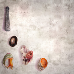 stylish textured old paper background with various objects found on beaches 