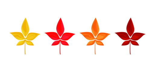 Autumn leaves icons isolated on white background. Simple cartoon flat style. Isolated vector illustration. Design for seasonal holiday greeting card, stickers, logo, web and mobile app.