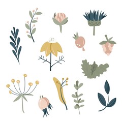 Obraz premium Collection of healing herbs and medicinal plants pastel colors isolated on white background. Hand-drawn. All objects are separated. Vector illustration