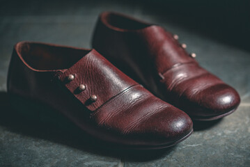 I took care of my leather shoes.