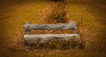 bench in the field