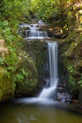 Fototapeta na wymiar Long exposure shot of the Geroldsau waterfall, roadtrip within the German black forest.
