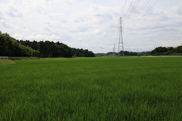 田舎の景色