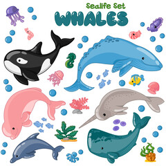Vector set with whales and sea animals. Funny cartoon isolated collection sealife on white background.