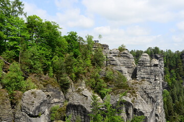 Fototapeta na wymiar nature in the mountains of Germany Saxon Switzerland