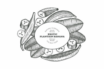 Hand drawn sketch style plantain banner. Organic fresh fruit vector illustration. Retro exotic banana fruit design template