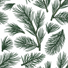 Christmas hand drawn vector seamless pattern. Vintage style botanical illustration. Winter plants xmas banner. Pine background.