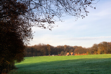 Obraz premium View on a field near the Dutch village Milsbeek