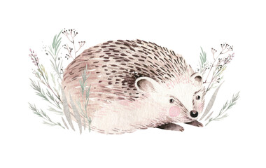 Watercolor illustration with hedgehog, mashrooms, branches, leaves and berries. Set of autumn forest plants, fly agaric and boletus, drawing, Collection of herbarium garden.