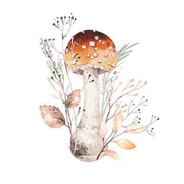 Watercolor illustration with mashrooms, branches, leaves and berries. Set of autumn forest plants, fly agaric and boletus, drawing, Collection of herbarium garden.