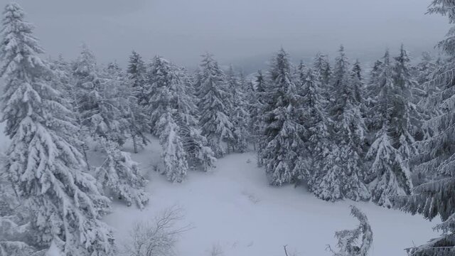Aerial view of a fabulous winter mountain landscape close-up. Smooth flight between snow-covered trees. Filmed on FPV drone.