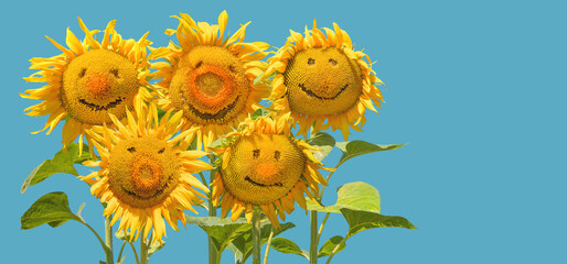 Five smiling sunflowers olympians are precisely positioned to fit into rings as funny concept for...