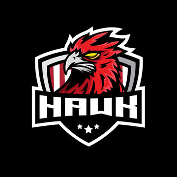 Hawk mascot esport logo