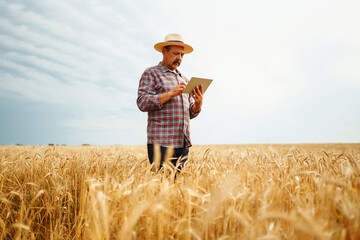 Modern agriculture technology. Smart farming concept. Farmer checking wheat field progress, holding tablet using internet.