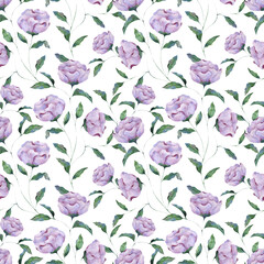 Seamless watercolor pattern of lilac peony flowers on a white background. Botanical illustration for packaging design, texture, fabric, wallpaper, website, postcard.