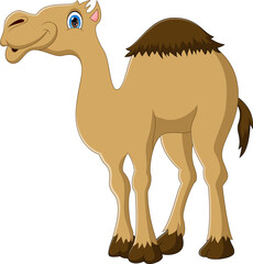 cute camel cartoon posing smiling isolated on white background