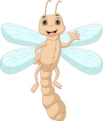 cute cartoon dragonfly  isolated on white background