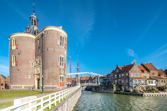 Dromedaris in Enkhuizen, Noord-Holland province, The netherlands