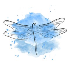 Elegant outline drawing of dragonfly. Vector illustration.