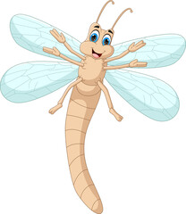 cute cartoon dragonfly  isolated on white background