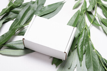 White cardboard carton box with fresh tree branch, ecological package