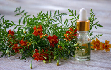 marigold oil essential oils. Selective focus