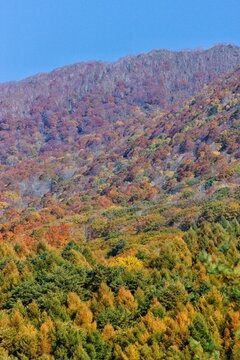 3 448 Best 磐梯山 Images Stock Photos Vectors Adobe Stock