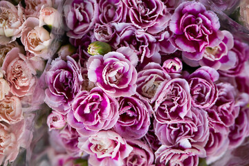 close up of a bouquet of pink roses
