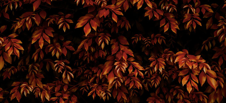 red leaf background, nature background concept
