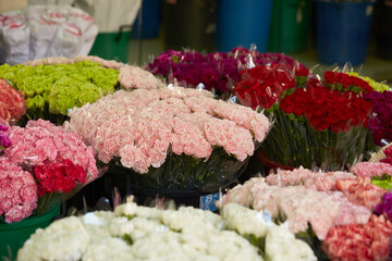 Flowers in various colors on the market