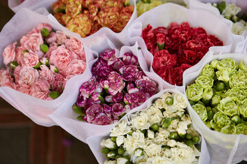 Flowers in various colors on the market