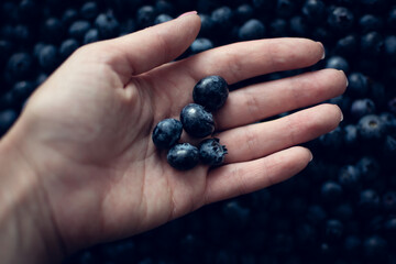 blueberry berry lies on a woman's hand