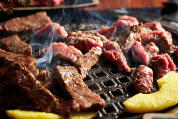 grilled meat on the grill