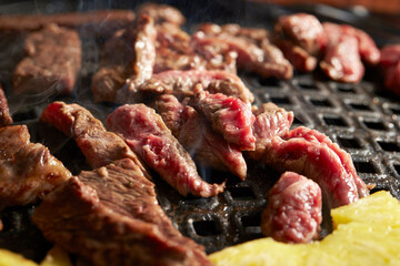 grilled meat on the grill