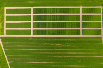 field from aerial view geometric pattern