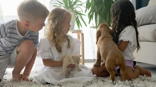 two little girls and boy playing with cocker spaniel puppy and Scottish Fold kitty in living room