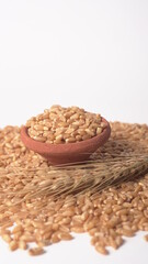 Wheat grains and spikelets on white background.