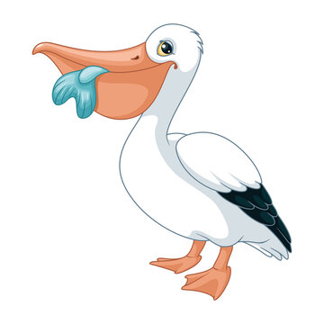 Pelican Cartoon Images – Browse 4,765 Stock Photos, Vectors, and Video |  Adobe Stock