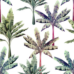 Watercolor painting tree ,banana leaves seamless pattern on white background.Watercolor hand drawn illustration tropical exotic leaf prints for wallpaper,textile Hawaii aloha jungle pattern. © nongnuch_l