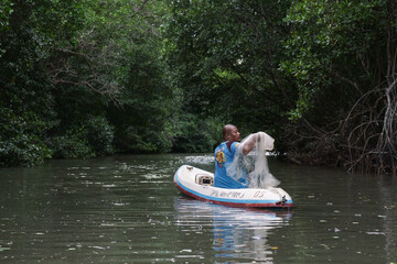 A fisherman is sowing nets in a mangrove forest to catch fish. He sits rowing on a canoe fishing in the shallows