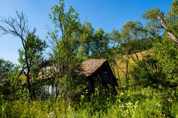 Obraz premium Abandoned deteriorated wood house , big green vegetation on a hot summer day in Romania.
