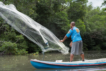 BADUNG,DEC 09 2020: A fisherman is sowing nets in a mangrove forest to catch fish. He stands on a canoe to fish in shallow water