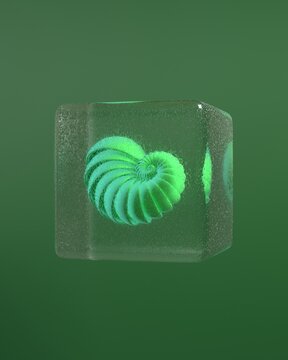 sci-fi looking medusa in a glass cube